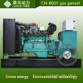 Зеленая энергия двигателя 80квт низкая цена генератора природного газа 